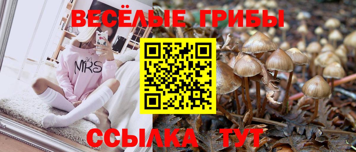 Симферополь  Псилоцибиновые грибы Psilocybine cubensis  Вход с VPN 